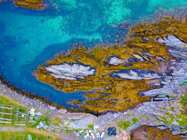 Turkist vann - Lofoten