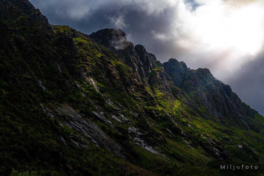 Bildet viser en bratt og dramatisk fjellside i Lofoten, preget av mørke bergvegger og frodig, grønn vegetasjon som klamrer seg til skråningene.