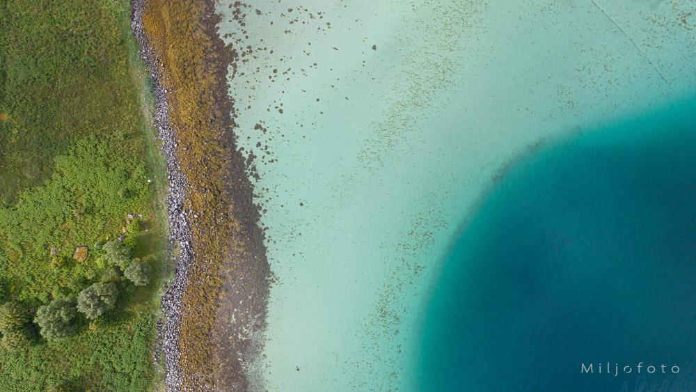 Fra land til dyp Dette luftfotos viser en vakker og tydelig overgang fra grønn vegetasjon på land, over en steinete strandlinje, til et grunt og lysegrønt havområde. Deretter faller havbunnen bratt ned i et mørkeblått dyp