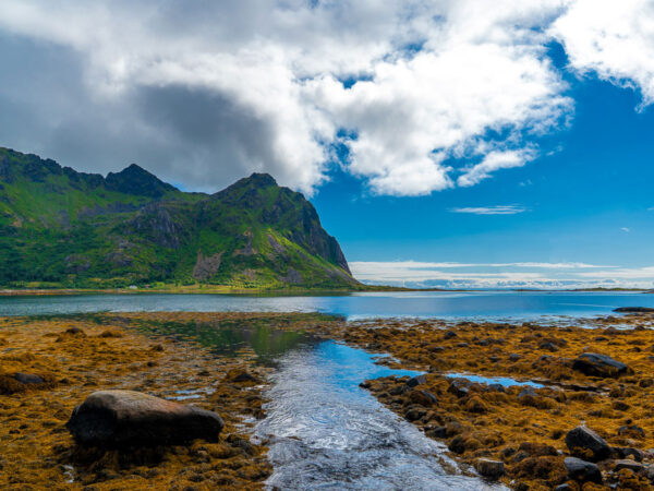 Landskap i Lofoten