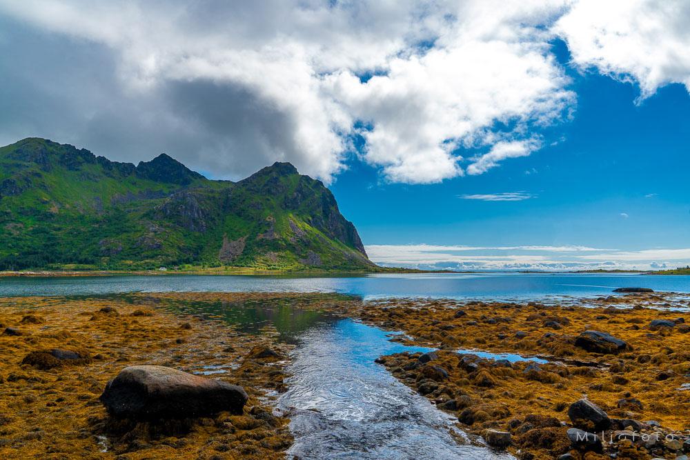 Landskap i Lofoten