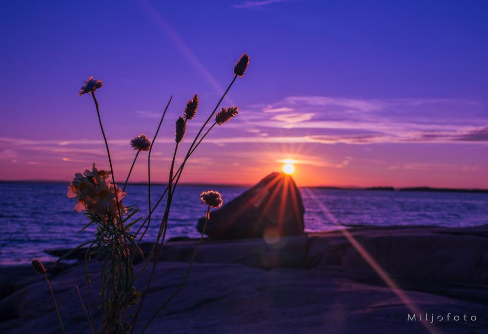 Dette stemningsfulle bildet viser en vakker solnedgang over havet, der solen akkurat går ned bak en stein på svaberget og skaper en strålende stjerneeffekt.
