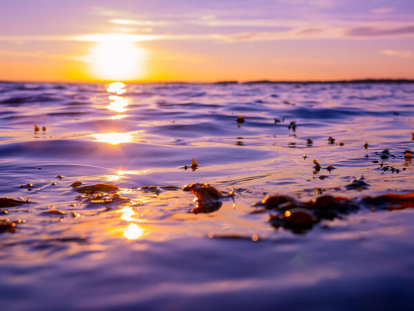 Bildet viser en vakker solnedgang over vannet, der himmelen er farget i stemningsfulle nyanser av lilla, rosa og oransje.