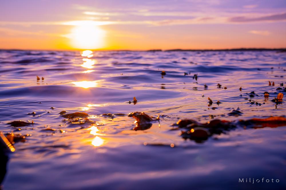 Bildet viser en vakker solnedgang over vannet, der himmelen er farget i stemningsfulle nyanser av lilla, rosa og oransje.