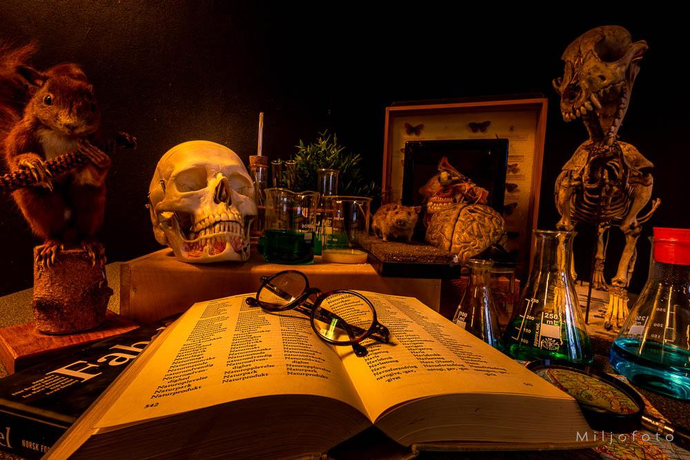 Briller og studie Briller og studie