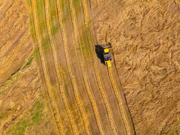 Man høster som man sår