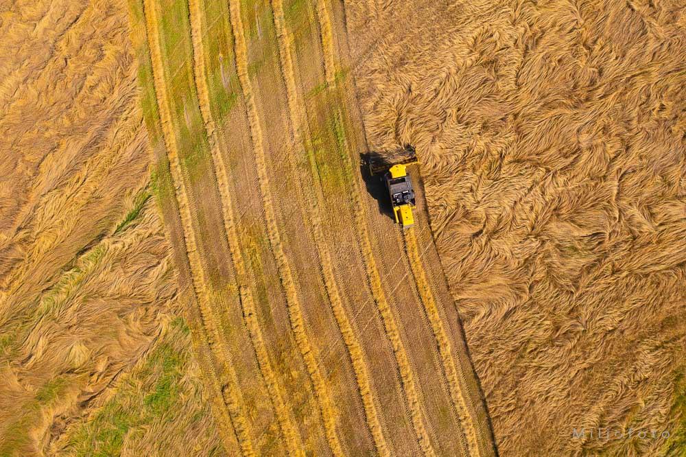 Man høster som man sår Man høster som man sår