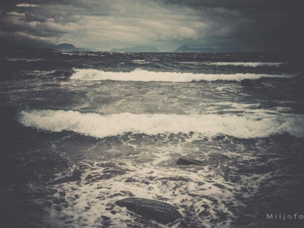 Bølger i sort - Natur