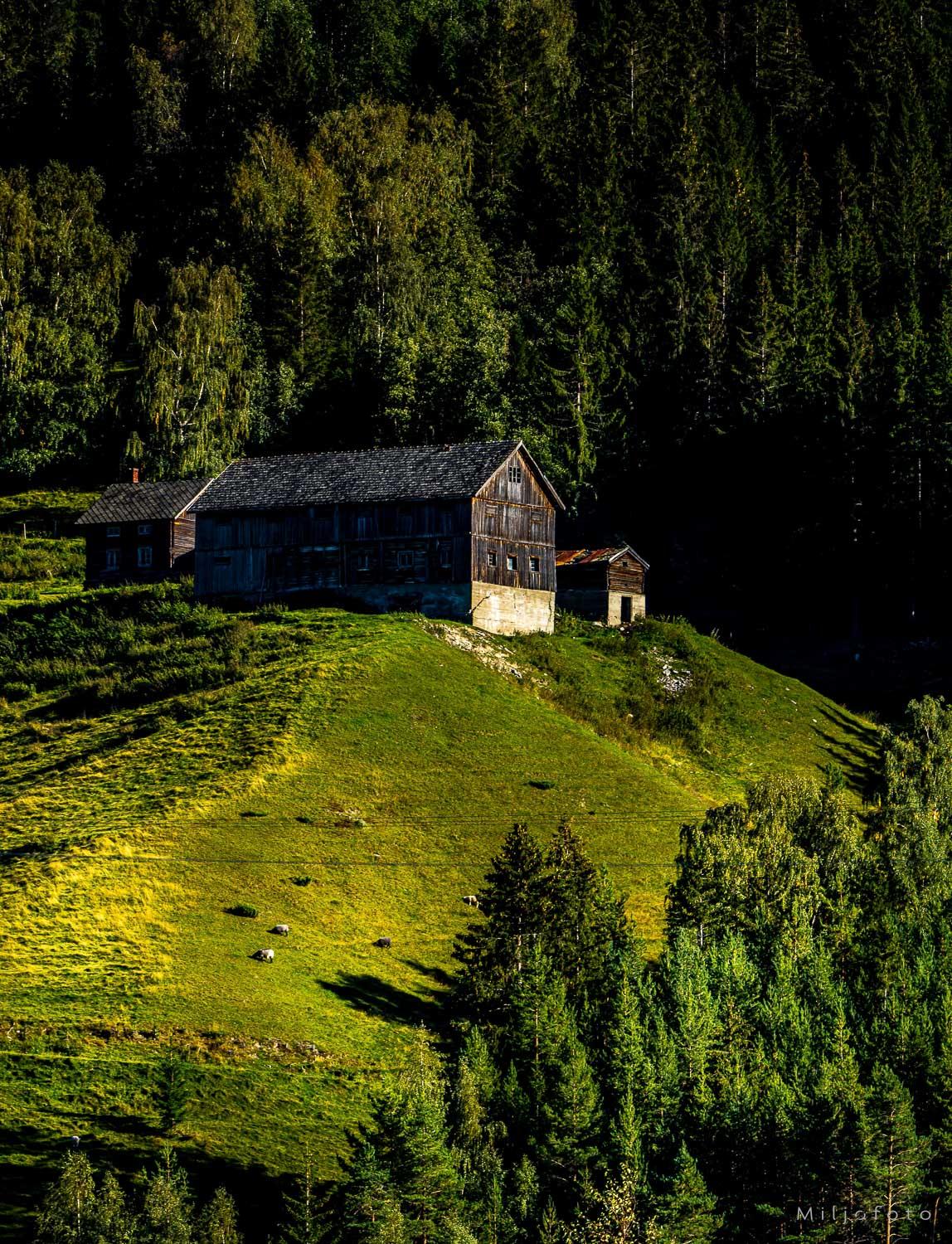 Bratt landbruk Bratt landbruk