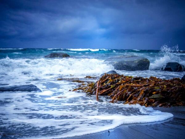 Opprørt hav - Natur