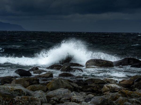 Sjøsprøyt - Natur