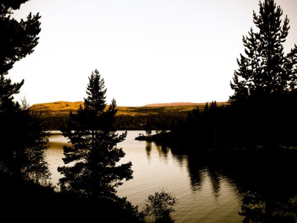 Kveld ved ørretvannet