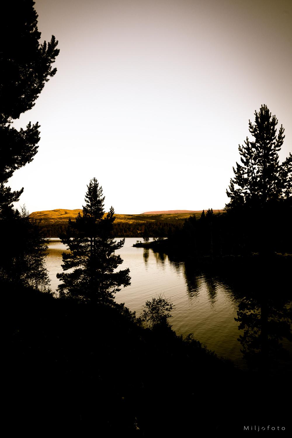 Kveld ved ørretvannet Kveld ved ørretvannet