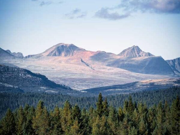 Rondane Nasjonalpark - Natur
