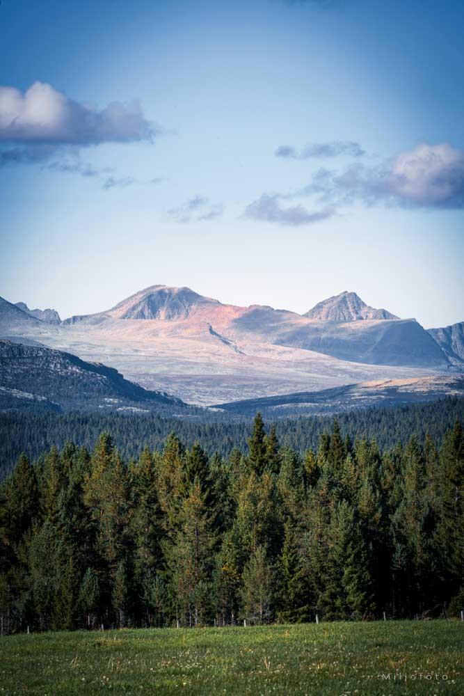 Rondane Nasjonalpark - Natur Rondane Nasjonalpark - Natur