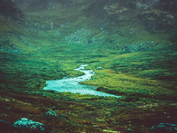 Elven i dalen