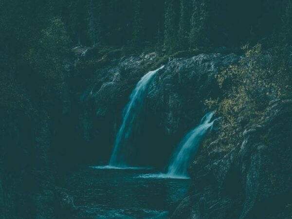 Foss - Natur