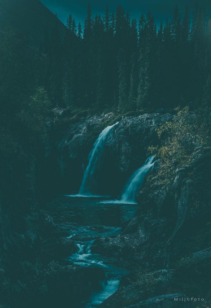 Foss - Natur