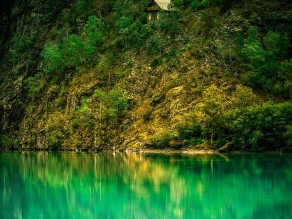 Hytte i det grønne - Natur