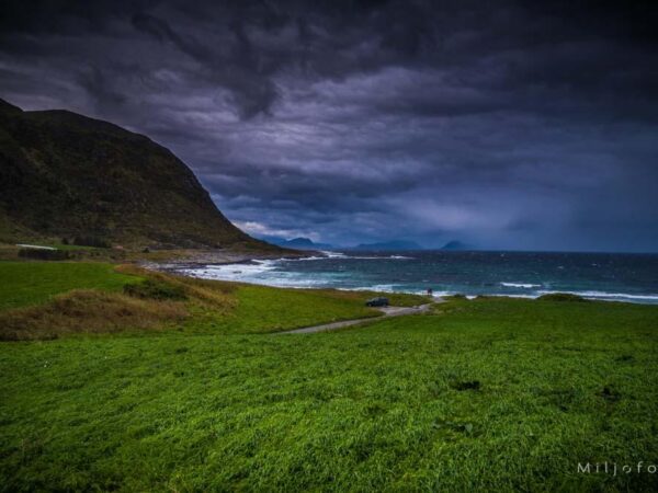 Alnes - Natur