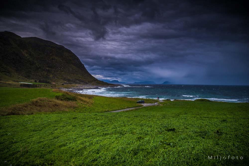 Alnes - Natur