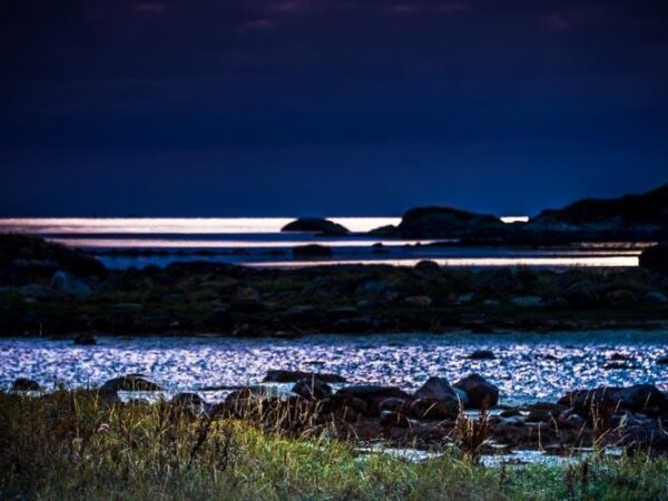 Blå time - Natur