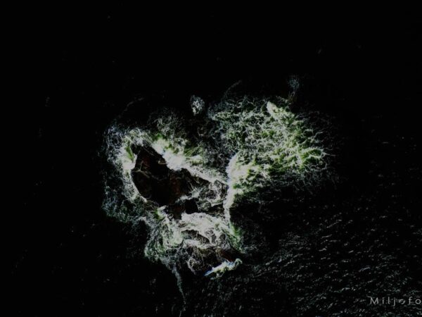 Skjær - Natur