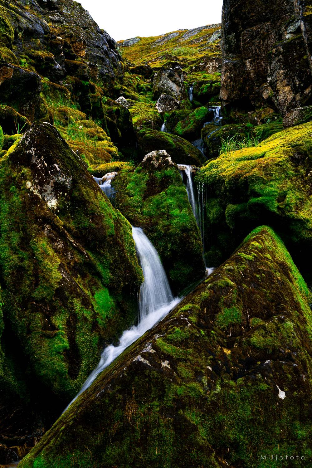 Foss i det grønne - Natur Foss i det grønne - Natur