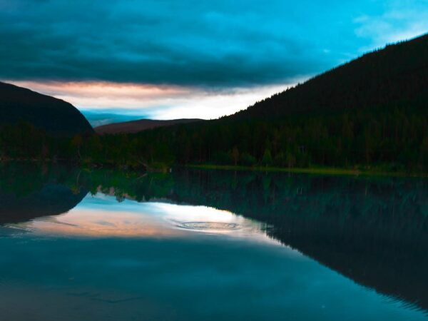 Vakende ørret - Natur