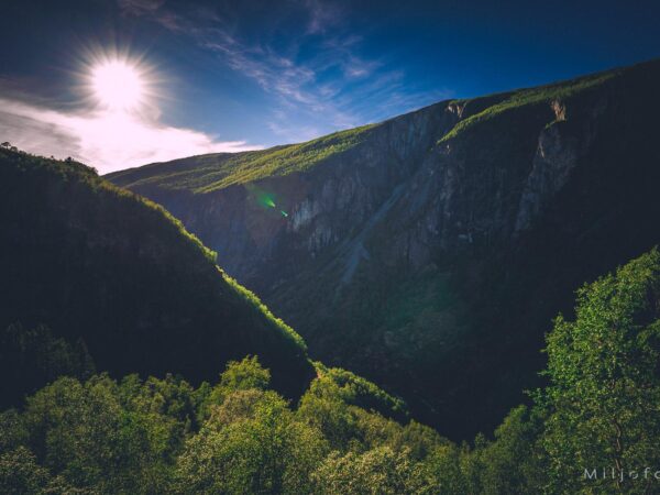 Grønn dal - Natur