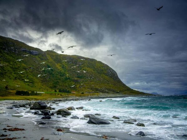 Kystlandskap - Natur