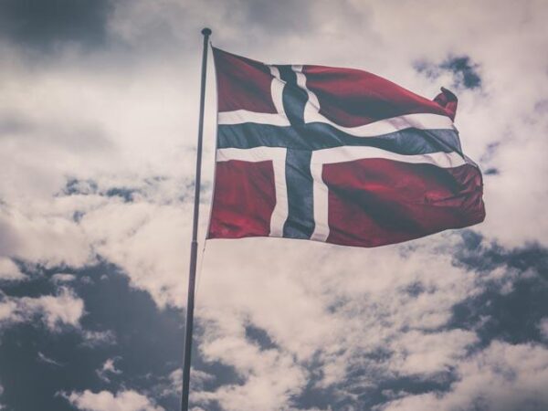 Flagg i lysningen - 17.mai