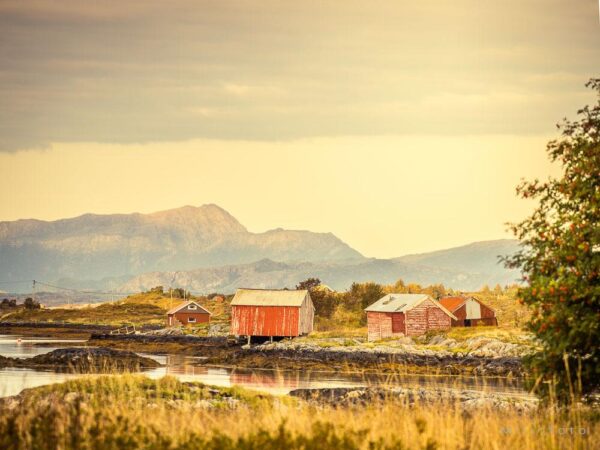 Fiskevær langs Atlanterhavsveien