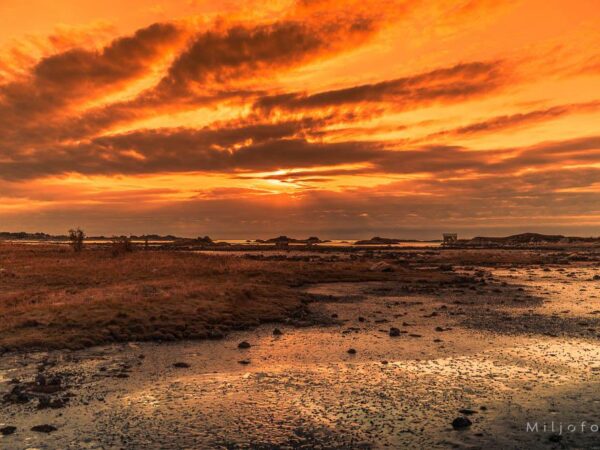 Solnedgang Vestlandet