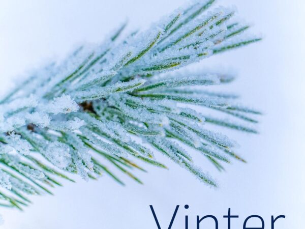 Vinter