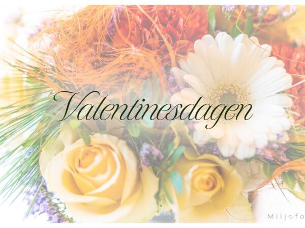 Valentinesdagen med blomster
