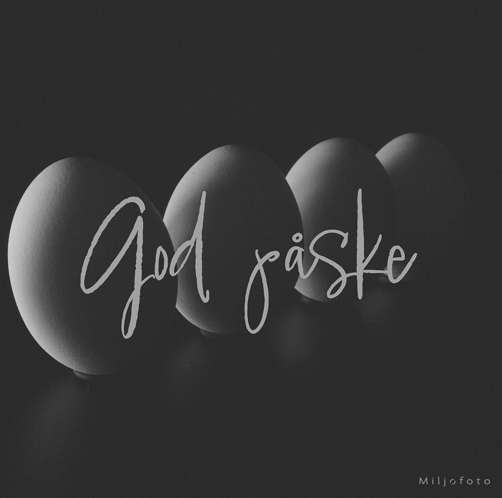 Grå - Påske Grå - Påske