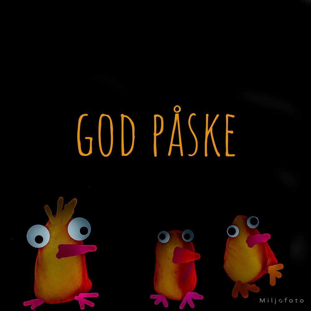 Påske kylling - God påske Påske kylling - God påske