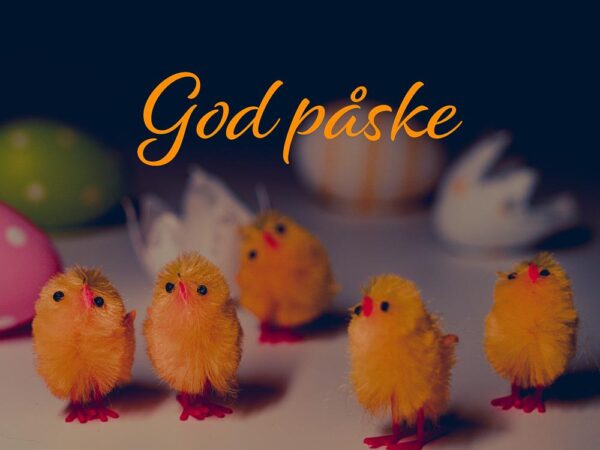 God påske - kyllinger og egg